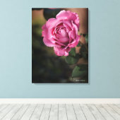 Angel Face Rose Leinwanddruck (Insitu (Holzboden))