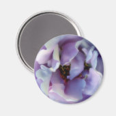 Angel Face Rose Magnet (Vorderseite/Rückseite)