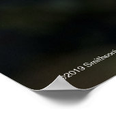 Angel Face Rose Poster (Ecke)