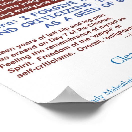 Angel Farms Kidney Chart Poster (Ecke)