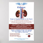 Angel Farms Kidney Chart Poster (Vorne)