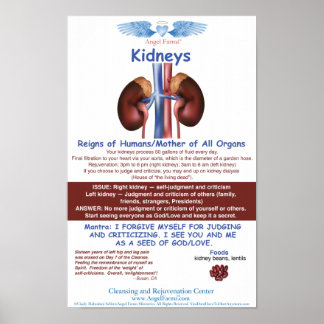 Angel Farms Kidney Chart Poster