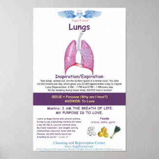 Angel Farms Lung Chart Poster