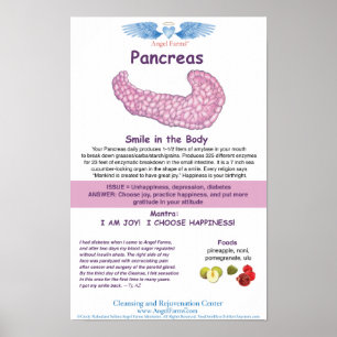 Angel Farms Pankreas Chart Poster