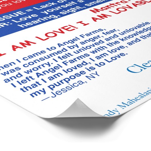 Angel Farms Spleen Chart Poster (Ecke)