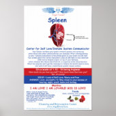 Angel Farms Spleen Chart Poster (Vorne)