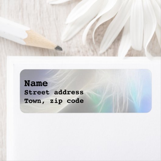 Angel Feather (Insitu)