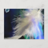 Angel Feather, Postkarte (Vorderseite)