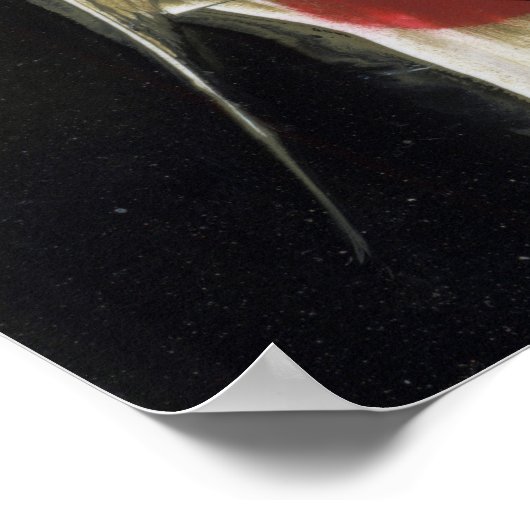 Angel Fish Abstrakt Poster (Ecke)