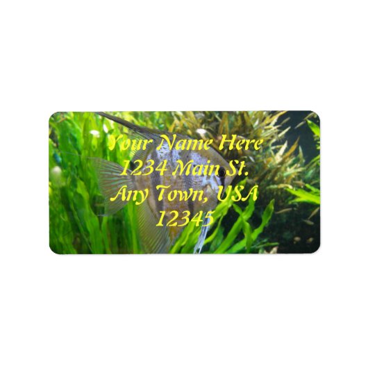 Angel Fish Adressaufkleber (Vorne)