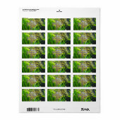 Angel Fish Adressaufkleber (Vorne)