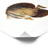 Angel Fish Beach Wasserbad Fotodruck (Ecke)