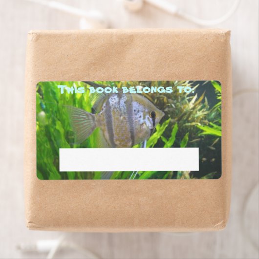 Angel Fish Book Label (Insitu)