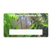 Angel Fish Book Label (Vorne)