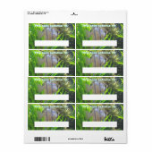 Angel Fish Book Label (Vorne)