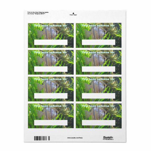 Angel Fish Book Label (Vorne)