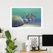 ANGEL FISH DRINT POSTER (Heimbüro)