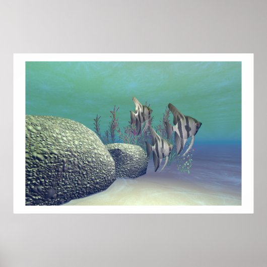 ANGEL FISH DRINT POSTER (Vorne)