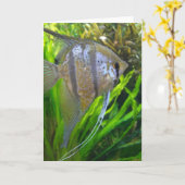 Angel Fish Karte (Gelbe Blume)