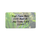 Angel Fish Label Adressaufkleber (Vorne)