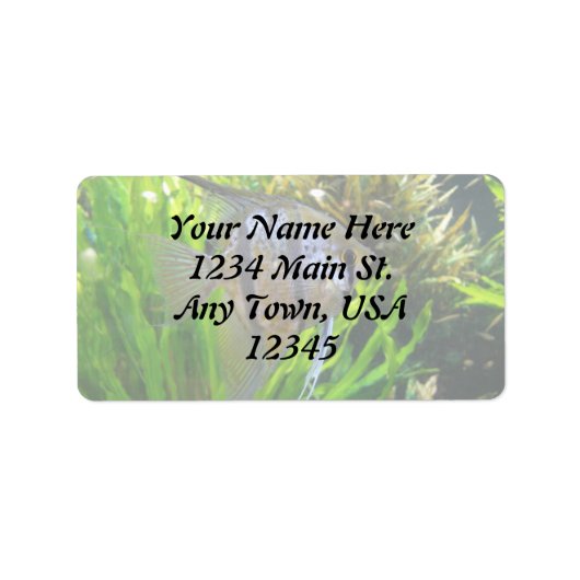 Angel Fish Label Adressaufkleber (Vorne)