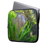 Angel Fish Laptopschutzhülle (Vorderseite Links)