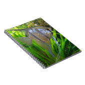 Angel Fish Notizblock (Rechte Seite)