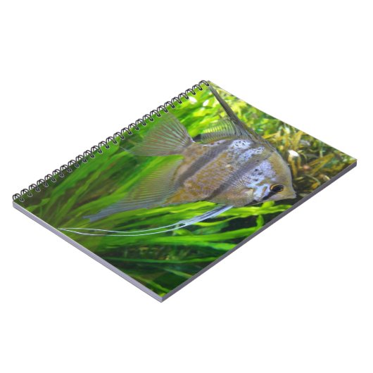 Angel Fish Notizblock (Linke Seite)