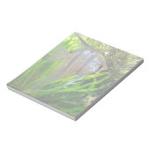 Angel Fish Notizblock (Rotiert)