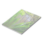 Angel Fish Notizblock (Rotiert)