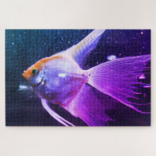 Angel Fish Puzzle