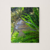 Angel FIsh Puzzle (Vertikal)