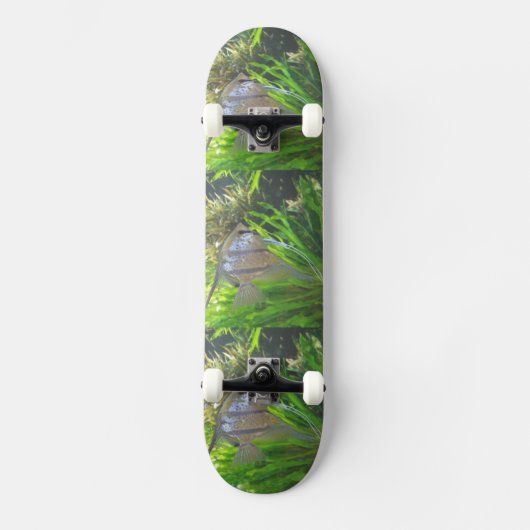 Angel Fish Skateboard (Vorderseite)