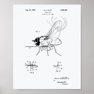 Angel-Fliege 1968 Patent Kunst Weiß Papier Poster