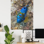 Angel-Gesicht Poster (Heimbüro)