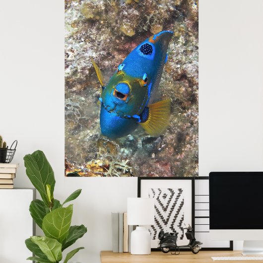 Angel-Gesicht Poster (Heimbüro)