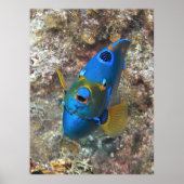 Angel-Gesicht Poster (Vorne)