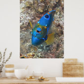 Angel-Gesicht Poster (Küche)