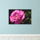 Angel-Gesichtserkennung - Nah Leinwanddruck (Insitu (Holzboden))