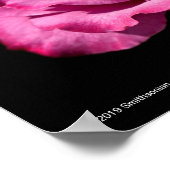 Angel-Gesichtserkennung - Nah Poster (Ecke)