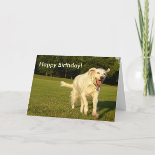 Angel lächeln, glücklich zum Geburtstag! Karte