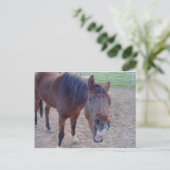 Angel Laugh Postkarte (Stehend Vorderseite)