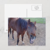 Angel Laugh Postkarte (Vorne/Hinten)