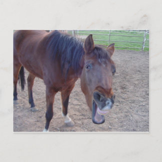 Angel Laugh Postkarte