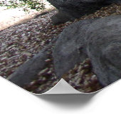 Angel Light Poster (Ecke)