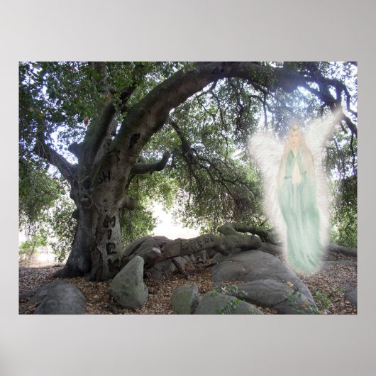 Angel Light Poster (Vorne)