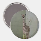 Angel Magnet (Vorderseite/Rückseite)