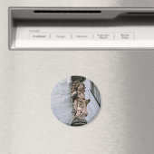 Angel Magnet (In Situ (Geschirrspüler))