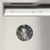 ANGEL MAGNET (In Situ (Geschirrspüler))