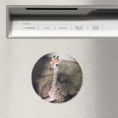 Angel Magnet #2 (In Situ (Geschirrspüler))